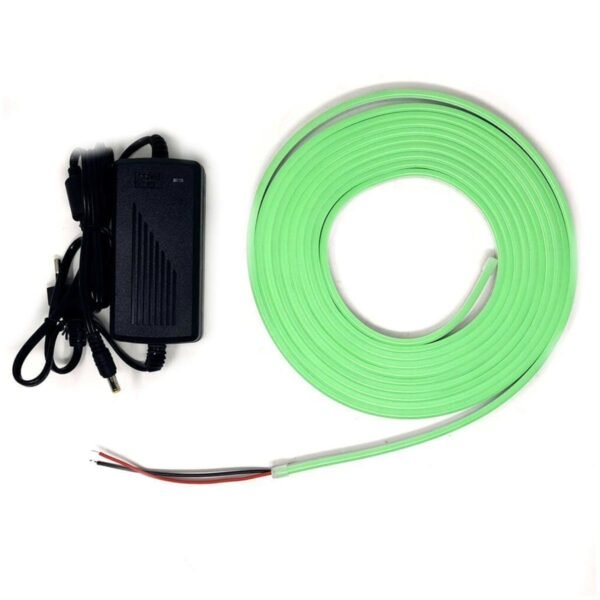 12V Neon G - Imagen 2