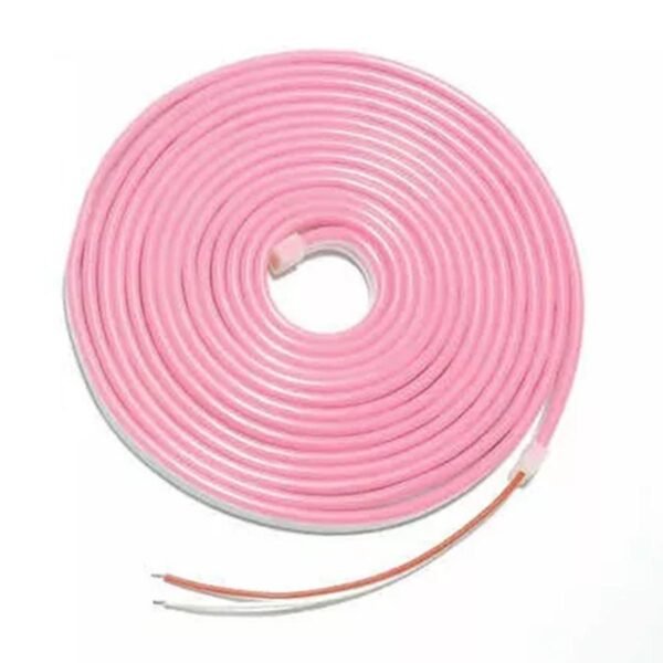 12V Neon PI