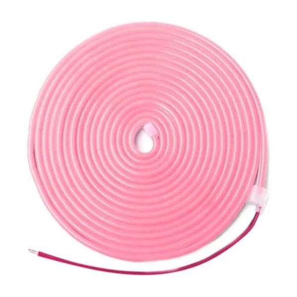 12V Neon PI - Imagen 2