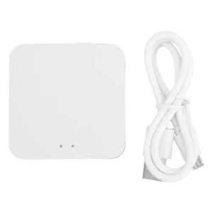 PUERTO INTELIGENTE DE ENLACE MINI WIFI RSH-GW006
